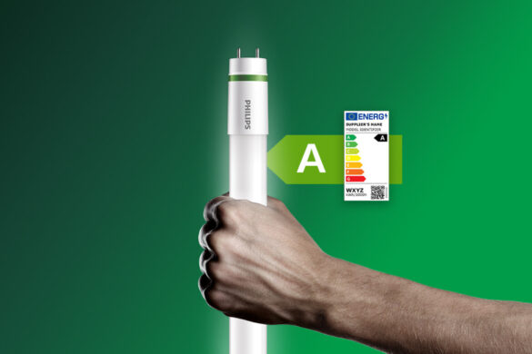 Mann hält Leuchtstofflampe vor grünem Hintergrund. Grafik zeigt Note "A" auf Energieausweis.