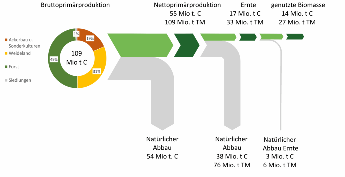 Grafik zur Brutto- und Nettoprimärproduktion von Biomasse in Österreich, aufgeschlüsselt nach Nutzung, Abbau und Flächenarten.