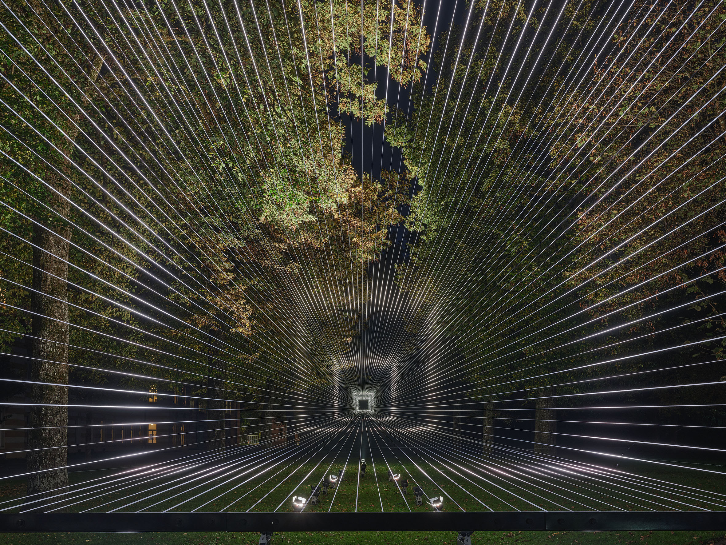 Mutual Loop VORTEX IV LSF 2025 Foto Gu╠ênter Richard Wett 027