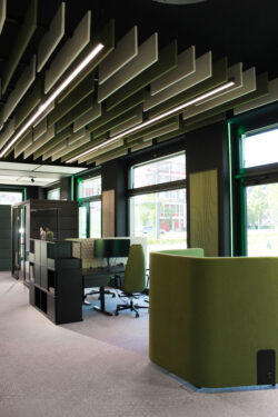 Modernes Büro mit linearen Deckenleuchten und vertikalen Akustikpaneelen, die für gute Beleuchtung und Schallabsorption sorgen.