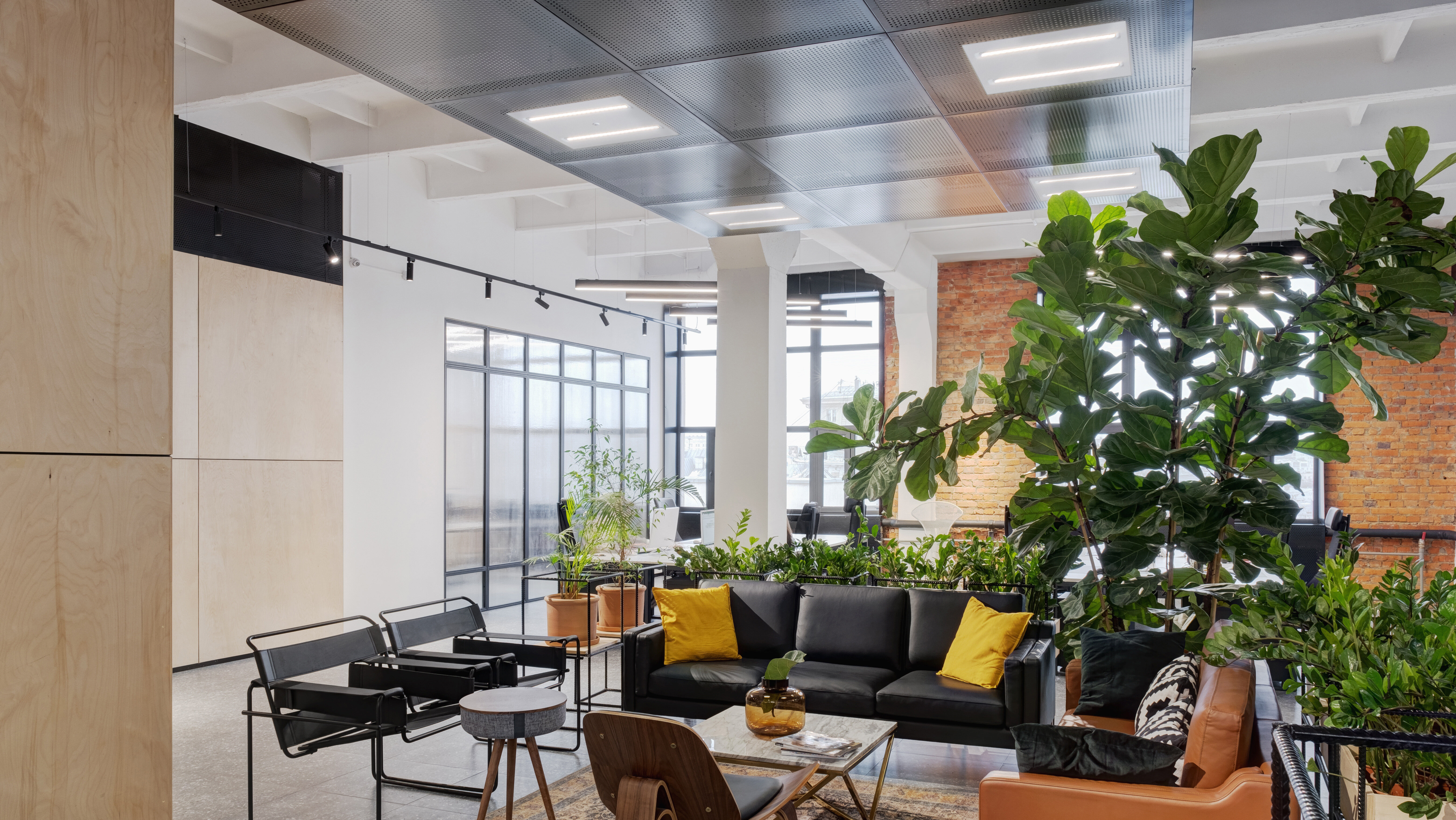 sylvania-s-opticlip-terra-nun-in-625-625-mm