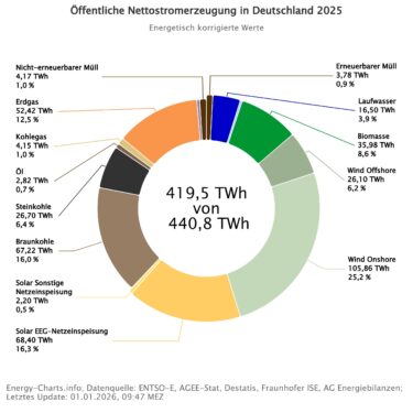 Öffentliche Stromerzeugung 2025