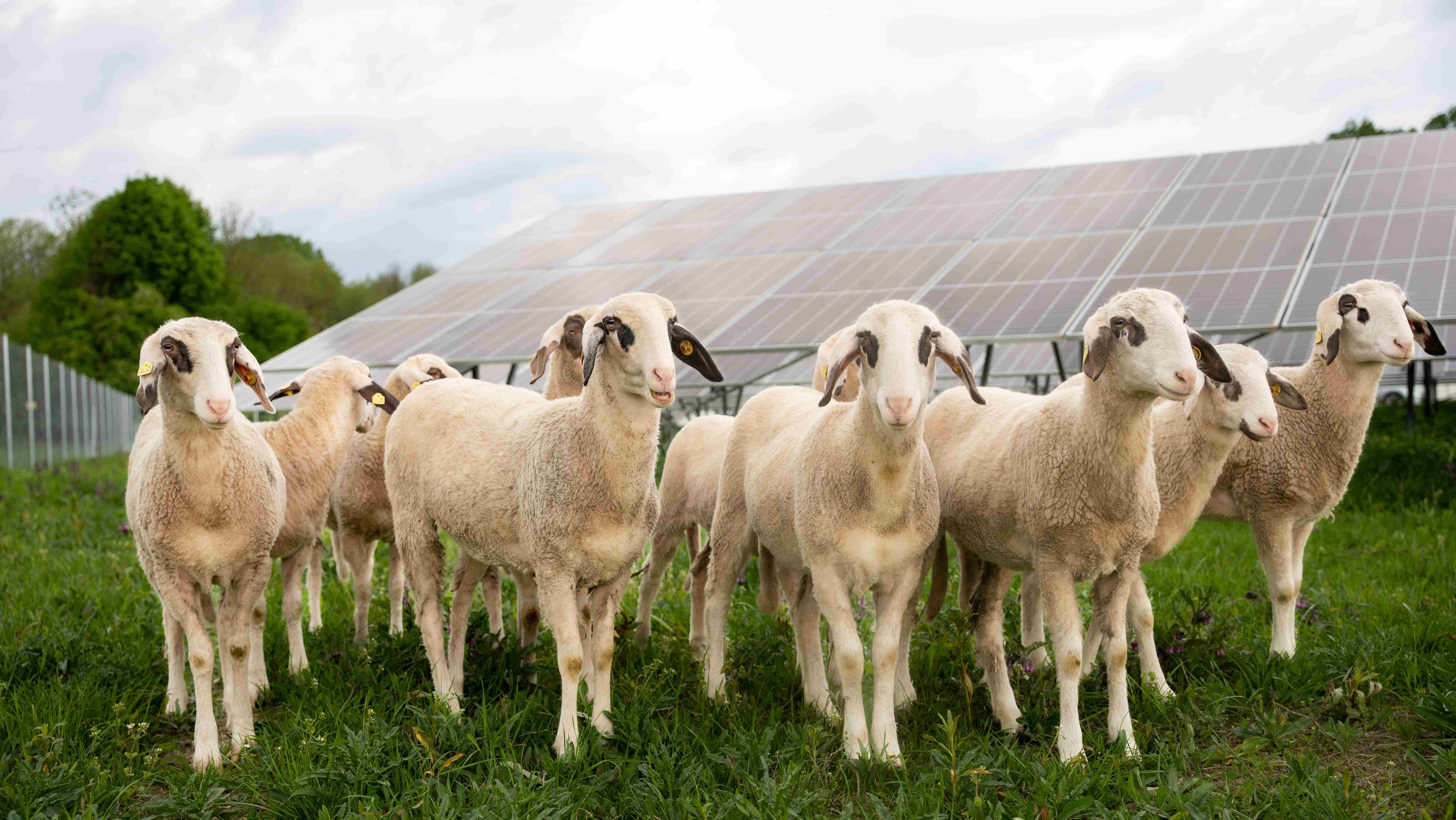 Netzausbau-f-r-stabile-Energie