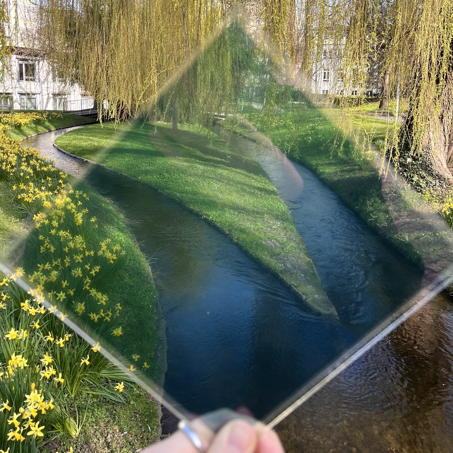 Semitransparentes organisches PV-Modul vor einer begrünten Landschaft mit Bach und gelben Blumen.